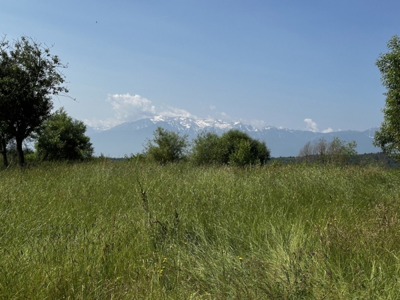 Продаја  Плот регион Благоевград , Добарско , 718 м2 | 88790312 - слика [13]