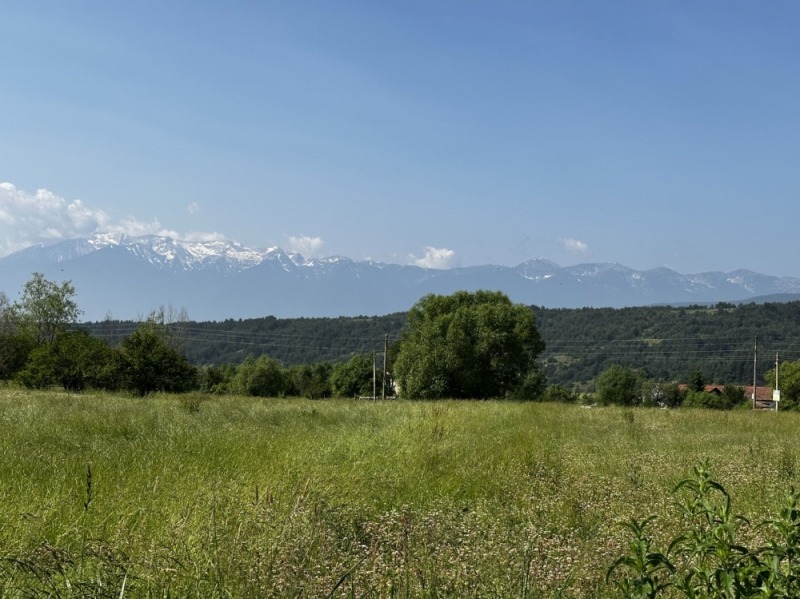 Na prodej  Spiknutí oblast Blagoevgrad , Dobarsko , 718 m2 | 88790312 - obraz [17]