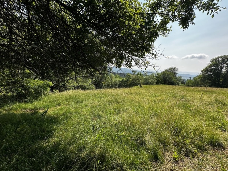 Продаја  Плот регион Благоевград , Добарско , 718 м2 | 88790312 - слика [16]