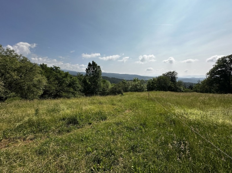Продаја  Плот регион Благоевград , Добарско , 718 м2 | 88790312 - слика [7]