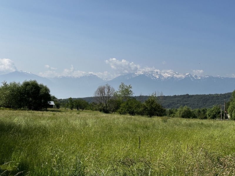 Na prodej  Spiknutí oblast Blagoevgrad , Dobarsko , 718 m2 | 88790312 - obraz [16]