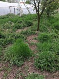 Продава ПАРЦЕЛ, с. Дивотино, област Перник, снимка 2
