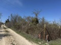 Продава ПАРЦЕЛ, град Варна, м-т Перчемлията • 29000 € • 93889321 — Holmes.bg
