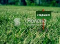 Продава  Парцел област Бургас , с. Кошарица , 592 кв.м | 37212914