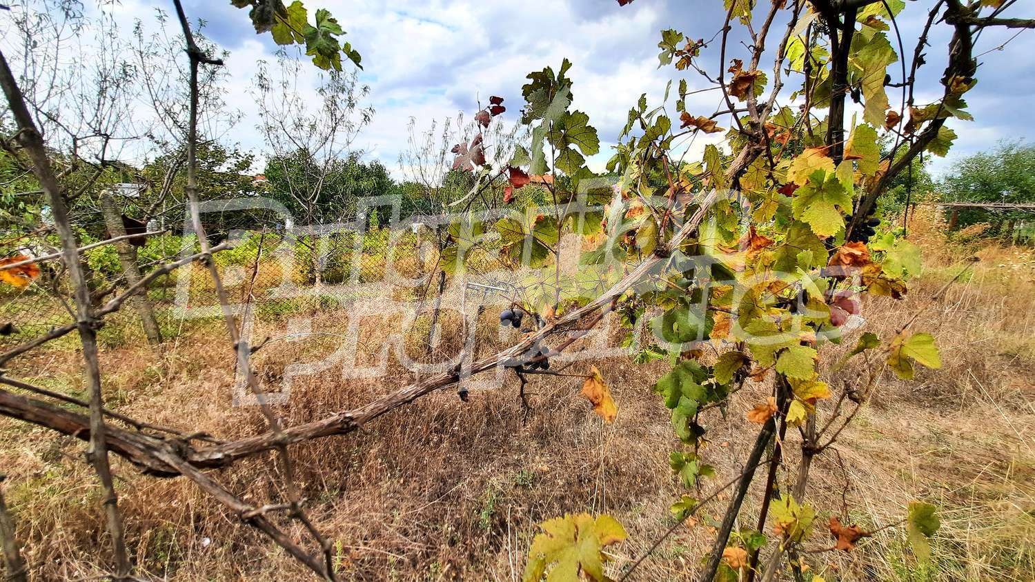 Продава КЪЩА | Imot.bg — изображение 13