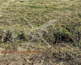 Продава  Парцел, с. Царацово