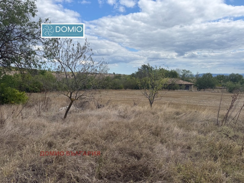 In vendita  Complotto regione Varna , Cherkovna , 7370 mq | 63639714 - Immagine [3]