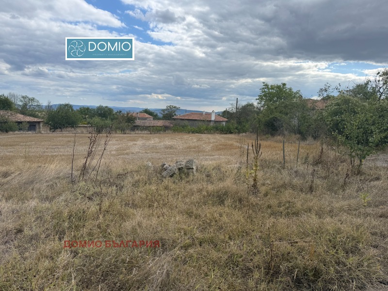 In vendita  Complotto regione Varna , Cherkovna , 7370 mq | 63639714 - Immagine [6]