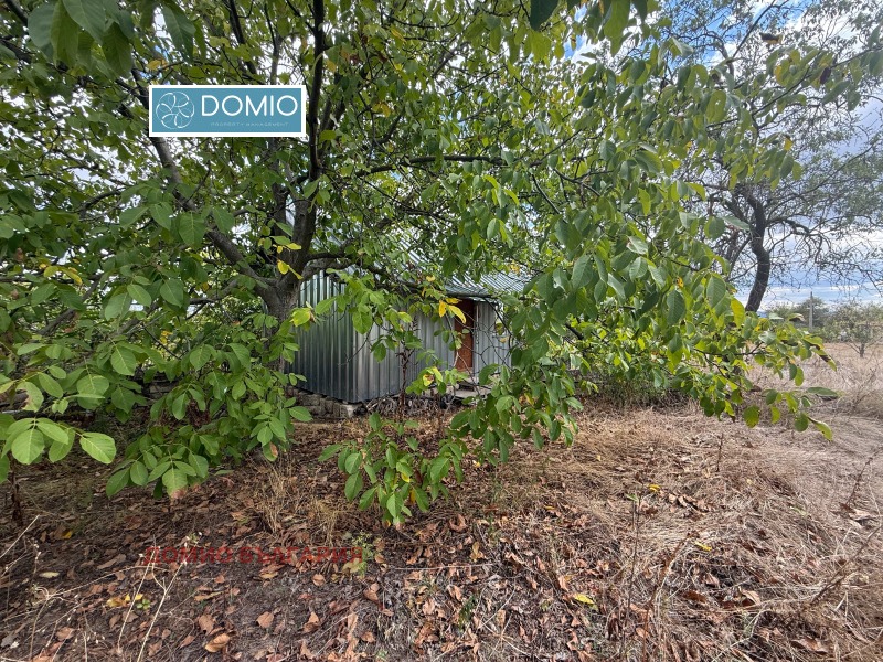 In vendita  Complotto regione Varna , Cherkovna , 7370 mq | 63639714 - Immagine [8]