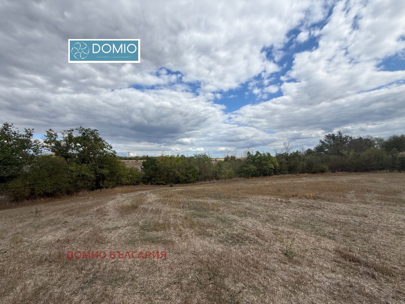 In vendita  Complotto regione Varna , Cherkovna , 7370 mq | 63639714