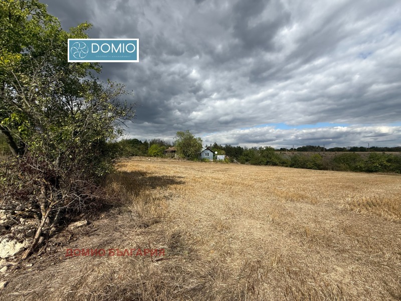In vendita  Complotto regione Varna , Cherkovna , 7370 mq | 63639714 - Immagine [10]