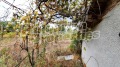 Продава КЪЩА, с. Дебелт, област Бургас, снимка 10