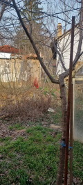 Продава КЪЩА, гр. Разград, Варош, снимка 2