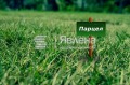 Продава ПАРЦЕЛ, град Варна, м-т Прибой • 79900 € / 156270.82 лв. • 39248487 1