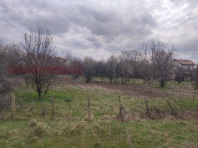 ������ ������� ������