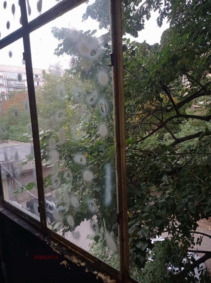 Na prodej  Studio Ruse , Cvetnica , 40 m2 | 59337884 - obraz [3]