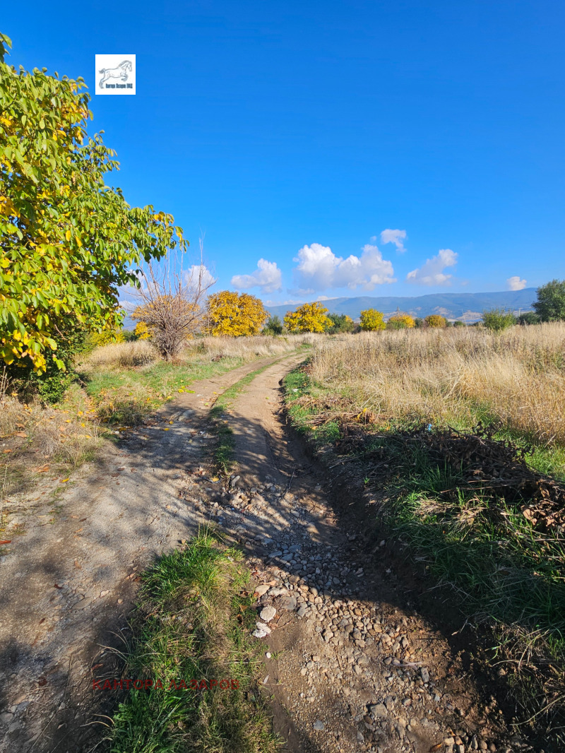 Продава ПАРЦЕЛ, с. Паничище, област Кюстендил, снимка 4 - Парцели - 52274122