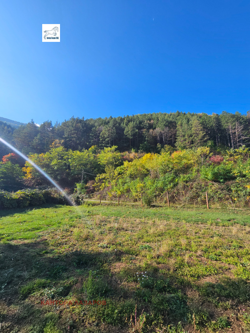 Продава ПАРЦЕЛ, с. Паничище, област Кюстендил, снимка 3 - Парцели - 52274122