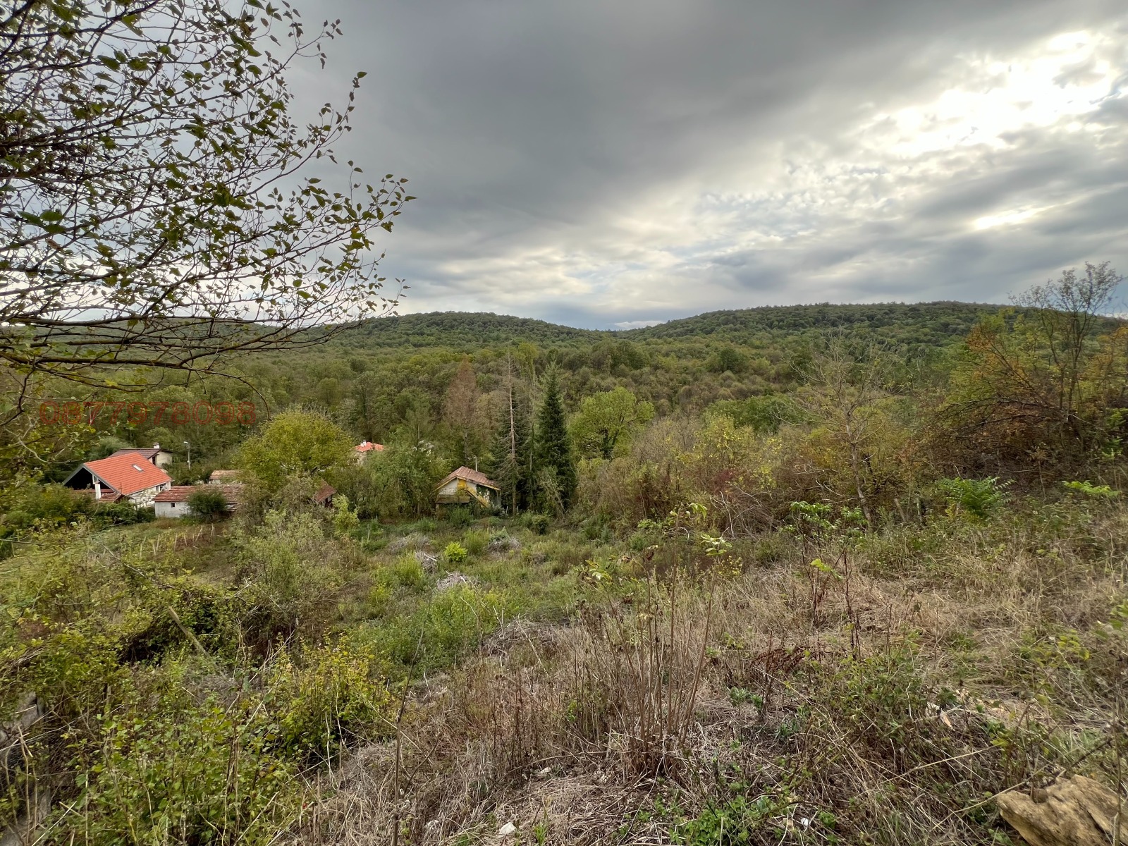 Продава ПАРЦЕЛ, с. Малки чифлик, област Велико Търново, снимка 4 - Парцели - 55011074