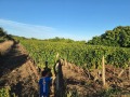 Продава ЗЕМЕДЕЛСКА ЗЕМЯ, с. Генерал Кантарджиево, област Варна, снимка 3