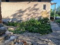 Продава КЪЩА, с. Буковец, област Видин, снимка 7