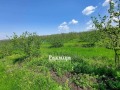 Продава ЗЕМЕДЕЛСКА ЗЕМЯ, с. Драчево, област Бургас, снимка 1