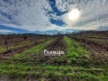 Продава ЗЕМЕДЕЛСКА ЗЕМЯ, с. Драчево, област Бургас, снимка 2