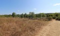 Продава  Парцел област Бургас , с. Варвара , 4000 кв.м | 48145053 - изображение [3]