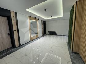 ����� ������� 3-�����,���� ����� ������, ������ 3