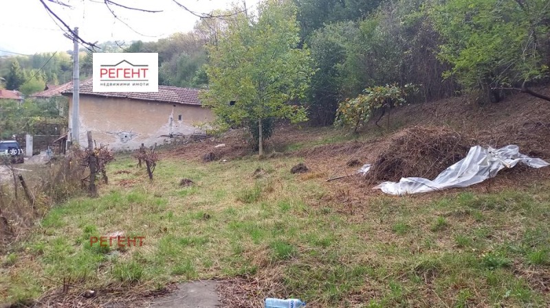 Eladó  Cselekmény Gabrovo , Bolta , 546 négyzetméter | 35981485