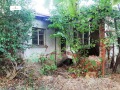 Продава ПАРЦЕЛ, област Перник, с. Ярджиловци • 32000 € • 60001173 — Holmes.bg