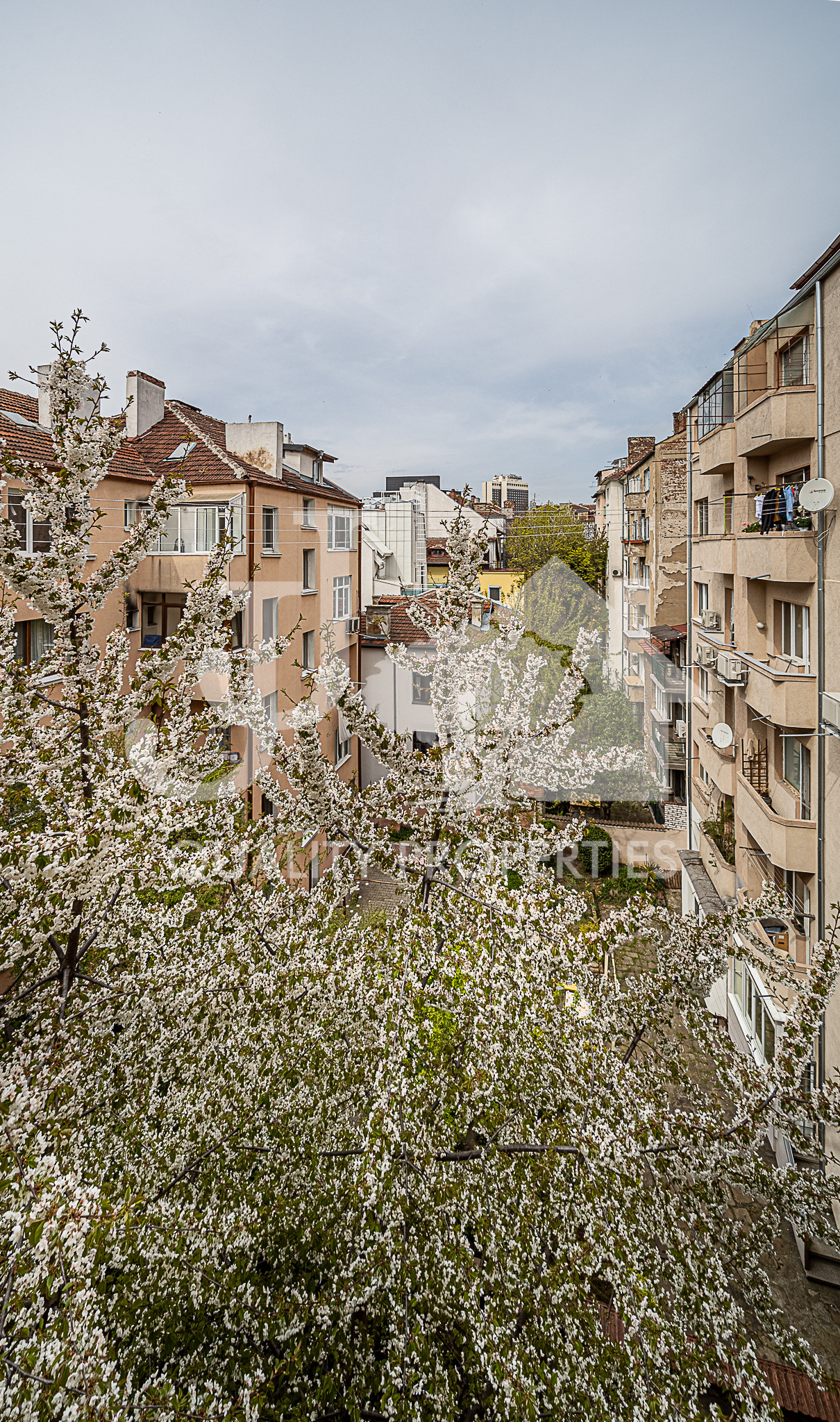 ������� 2-����� | Imot.bg � ����������� 12