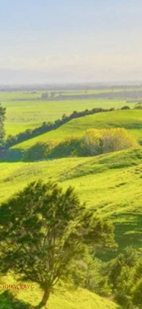 Terra Kumanovo, região Varna 1