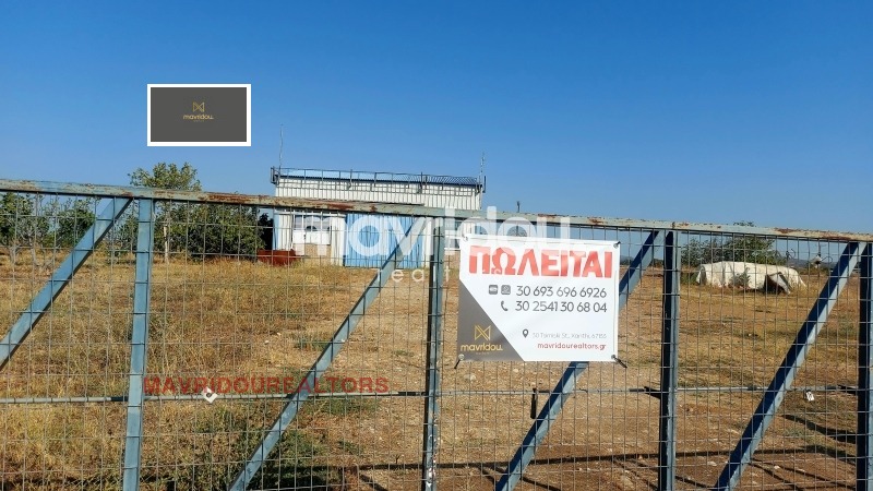 Продава ПРОМ. ПОМЕЩЕНИЕ, Извън страната, област Извън страната, снимка 8 - Производствени сгради - 52625355