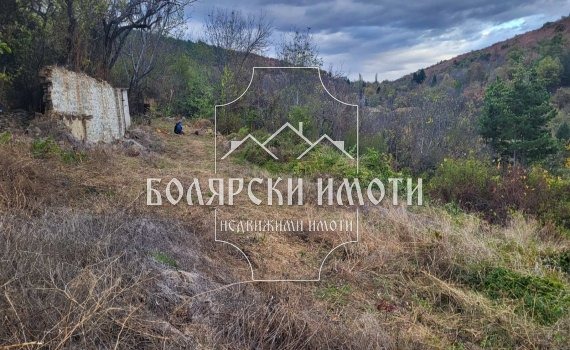 Продава ПАРЦЕЛ, с. Вишовград, област Велико Търново, снимка 6 - Парцели - 47418348