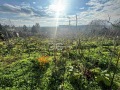 Продава  Къща град Варна , м-т Боровец - юг , 64 кв.м | 73588641 - изображение [9]