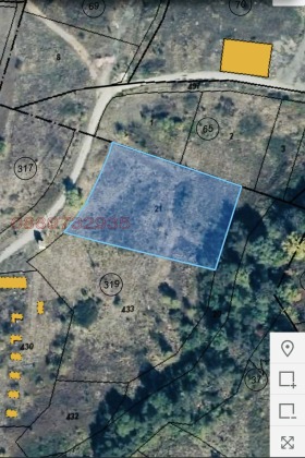 ����� ������� ������,�. ���� ���, ������ �����