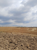 Продава ПАРЦЕЛ, с. Страшимирово, област Варна, снимка 4
