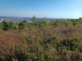 Продава ПАРЦЕЛ, град Русе, в.з. Левента • 199900 € • 34504234 — Holmes.bg