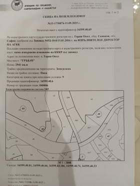����� ������� ������,�. ����� ����, ������ �����