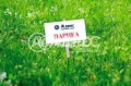 Продава  Парцел град Варна , м-т Долна Трака , 496 кв.м | 97680192 - изображение [2]
