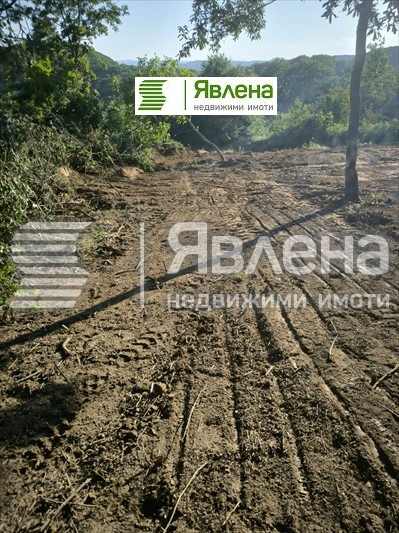 ������� ������ | Imot.bg � ����������� 8