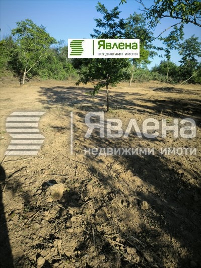 ������� ������ | Imot.bg � ����������� 5