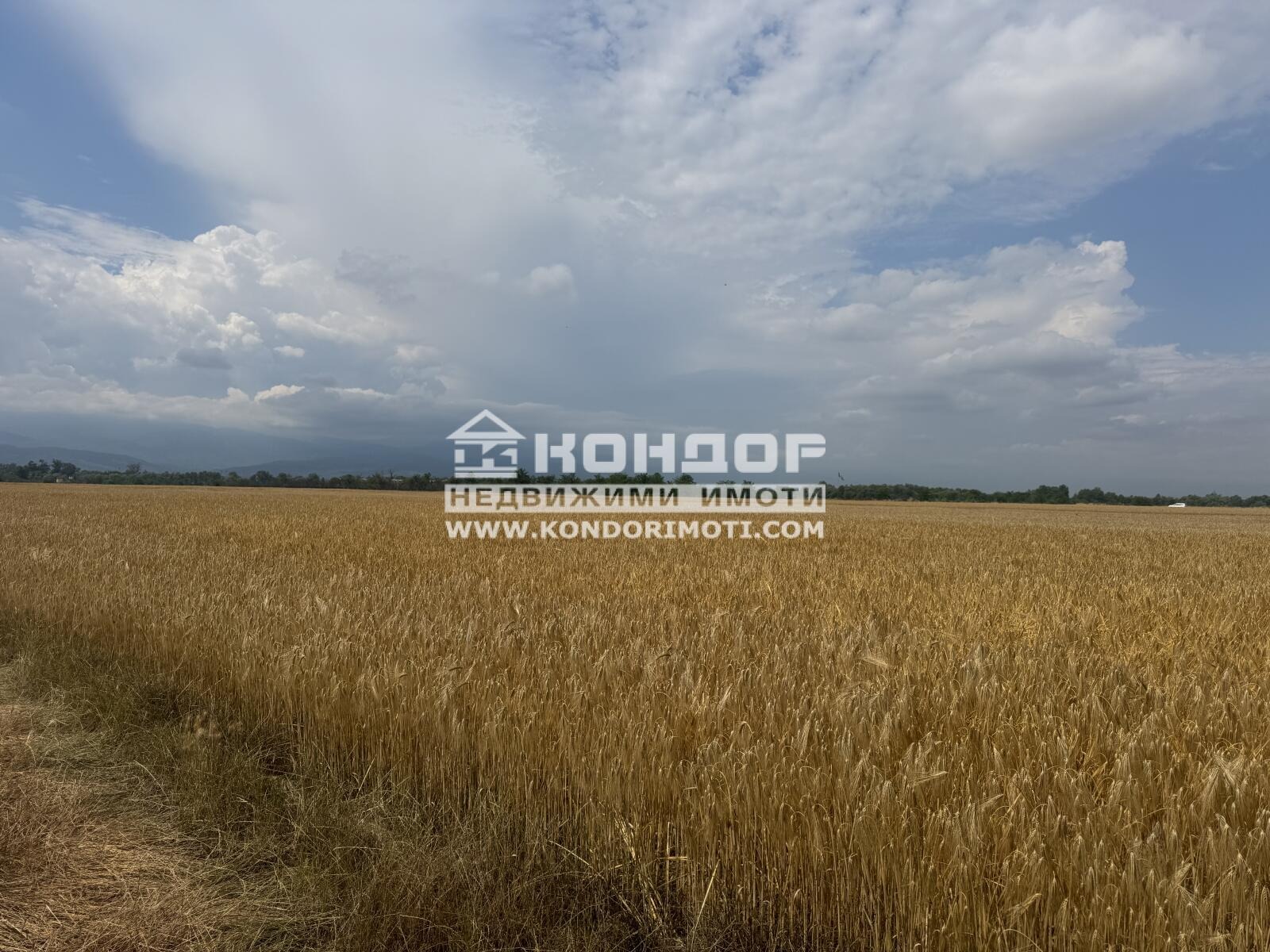 ������� ������ | Imot.bg � ����������� 1