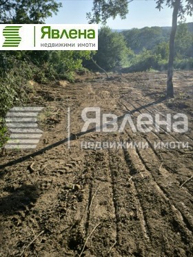 ������� ������ | Imot.bg � ����� ������ 8