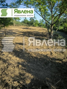 ������� ������ | Imot.bg � ����� ������ 6