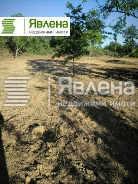 ������� ������ | Imot.bg � ����� ������ 5