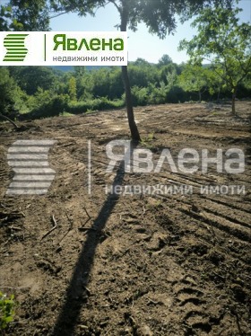 ������� ������ | Imot.bg � ����� ������ 9