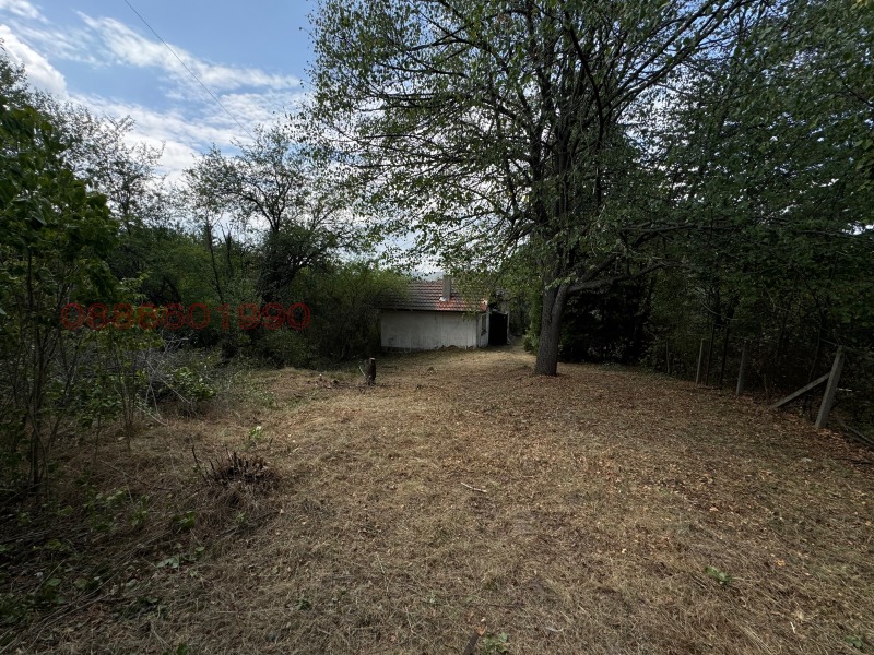 En venta  Casa Sofia , Plana , 1000 metros cuadrados | 74641011 - imagen [3]