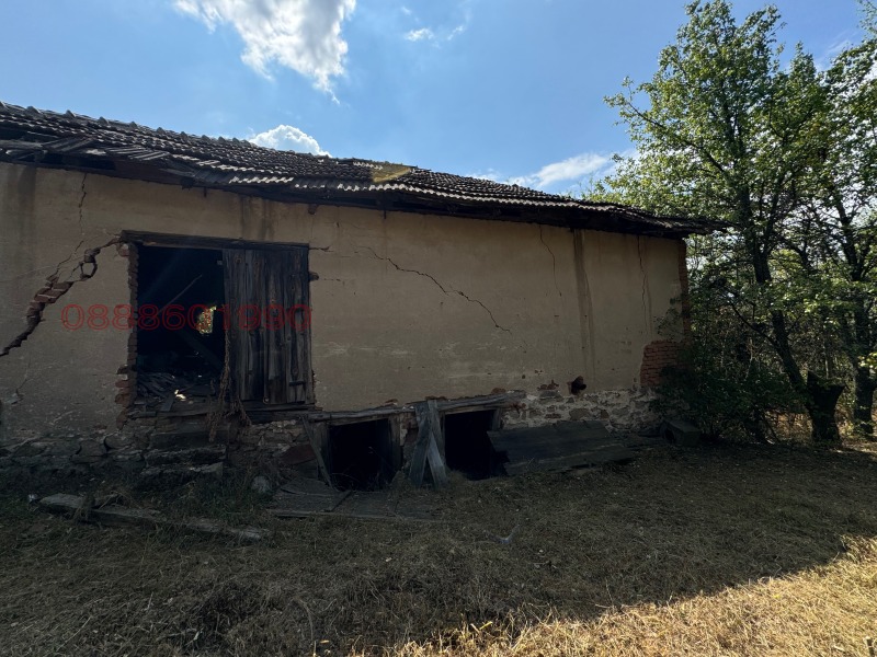En venta  Casa Sofia , Plana , 1000 metros cuadrados | 74641011 - imagen [8]
